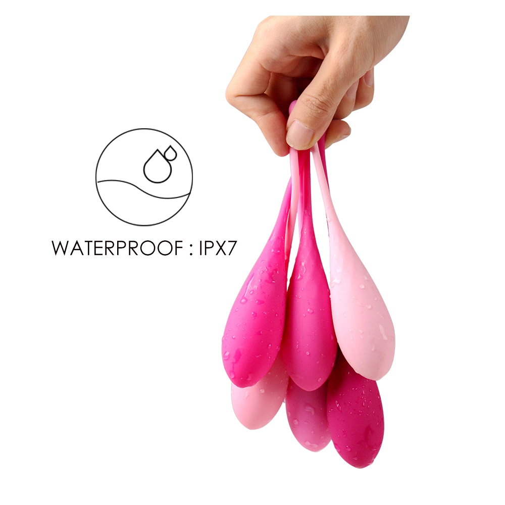 Image of FeelzToys FemmeFit Pelvic Floor Muscle Trainer Set 6 Weights Silicone